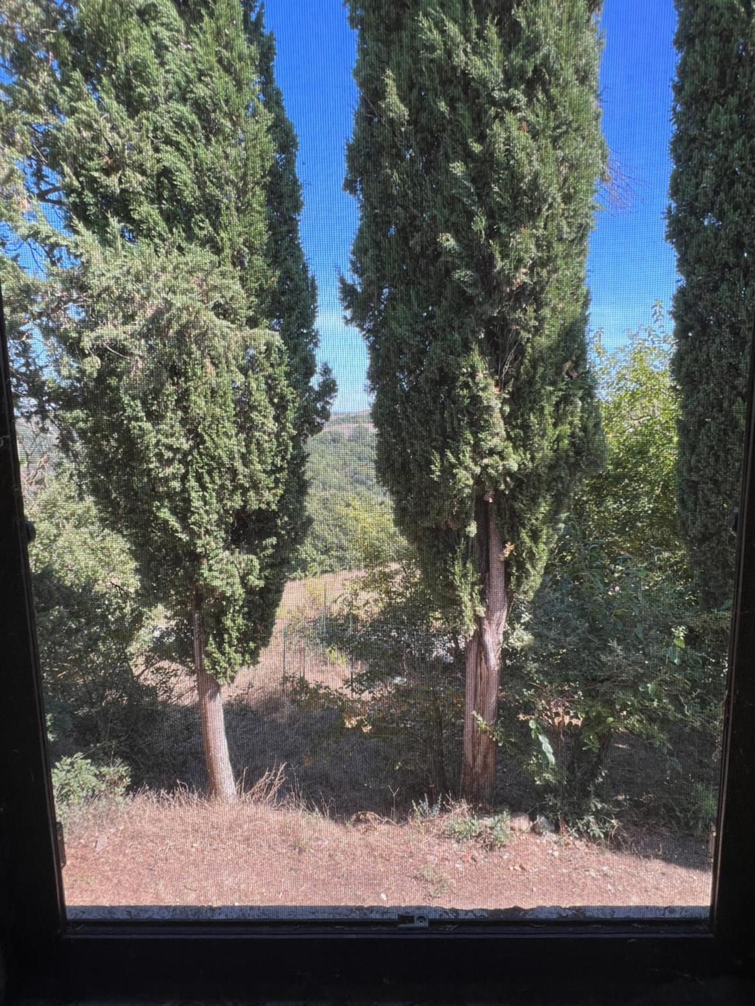 Agriturismo Diffuso Monte Oliveto Maggiore Chiusure Екстериор снимка